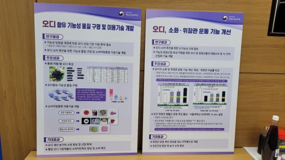 뽕나무 열매 ‘오디’가 일반 소화·위장관 대표 약물보다 장 운동 기능을 두 배 정도 개선하는 효과가 있다는 내용의 연구 결과를 정리한 패널. 농촌진흥청 제공
