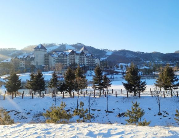 알펜시아 리조트 홈페이지