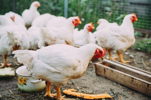 123rf.com 자료사진