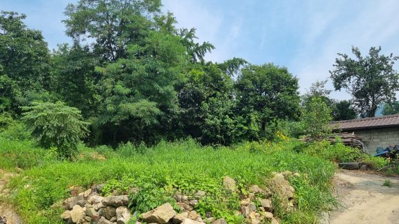 황종구(가명)씨네가 고향을 떠나기 전까지 살았던 충북 옥천군의 한 마을. 현재는 집은 사라지고 터만 남아있다. 옥천 한지은 기자