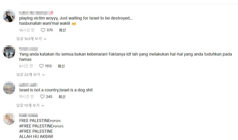 그러나 1만 4000개 이상의 댓들이 달린 틱톡 계정에는 이스라엘을 원색적으로 비난하거나 팔레스타인을 지지하는 댓글이 대부분이고 추천도 많이 받았다. / 사진=IDF 틱톡
