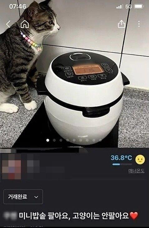 글을 쓴 여성이 당근에 내다 판 밥솥 사진. 당근마켓 커뮤니티 캡처
