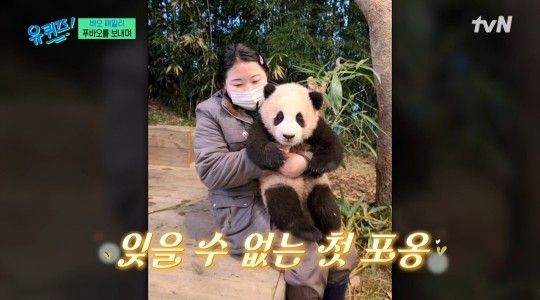 tvN ‘유 퀴즈 온 더 블럭’ 캡처