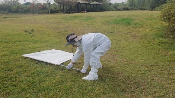 진드기 채집 모습.  서울시 제공