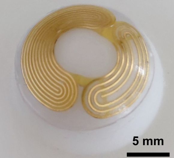 사진=ACS Applied Materials & Interfaces (2024). DOI: 10.1021/acsami.4c02289