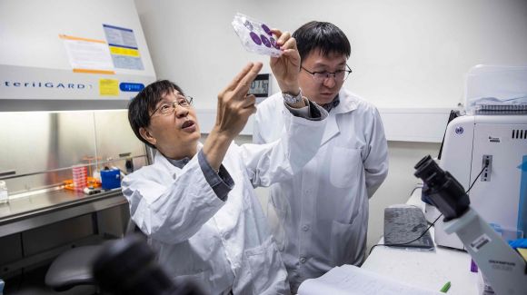 전염병 권위자인 위안궈융(袁國勇) 홍콩대 교수(가운데). AFP 연합뉴스