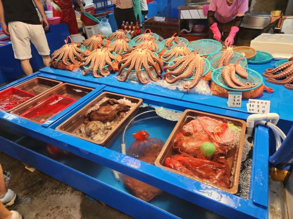 경북 포항시 죽도시장 내 한 수산물 상가 - 김형엽 기자