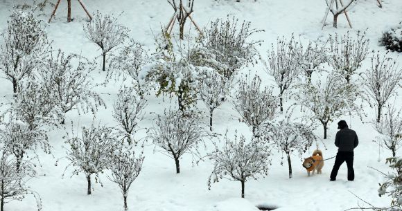 수도권 등 곳곳에 ‘대설경보’가 지속하며 강한 눈이 이어지고 있는 28일 오전 서울 영등포구 당산역 인근에서 시민들이 산책을 하고 있다. 2024.11.28 뉴시스