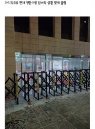 온라인 커뮤니티 디시인사이드 ‘미국정치 갤러리’(미정갤)에 올라온 ‘답사 인증글’.  미정갤 캡처