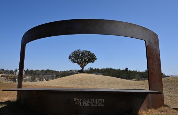 사연 많은 산이정원 동백나무.