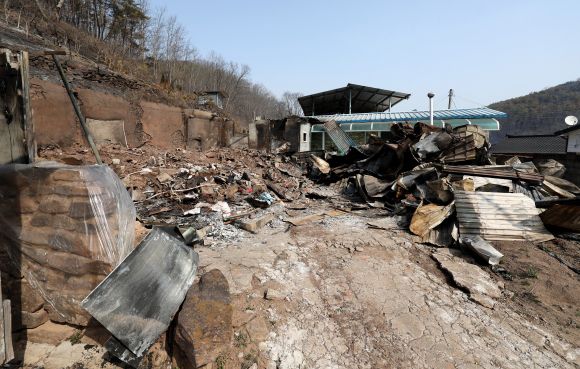 산불로 전소된 주택 - 경북 의성군 산불 발생 사흘째인 24일 안평면 신월리 한 주택이 산불로 전소돼 폐허가 되어 있다. 2025.03.24. 뉴시스