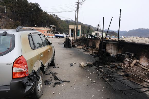 화염에 탄 차 - 27일 경북 영덕군 축산면 경정3리 해안에 차가 화염에 일부 타 있다. 2025.3.27 연합뉴스