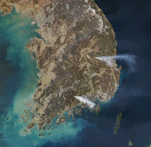 3월 22일 NASA 위성이 촬영한 경상북도 산불 모습. NASA Earth Observatory