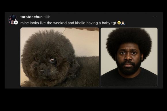 챗GPT의 이미지 생성 기능으로 만든 반려동물의 인간화 이미지. 오픈AI 공식 인스타그램 캡처