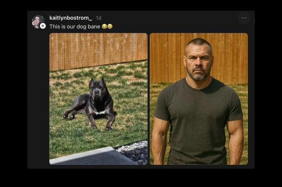 챗GPT의 이미지 생성 기능으로 만든 반려동물의 인간화 이미지. 오픈AI 공식 인스타그램 캡처