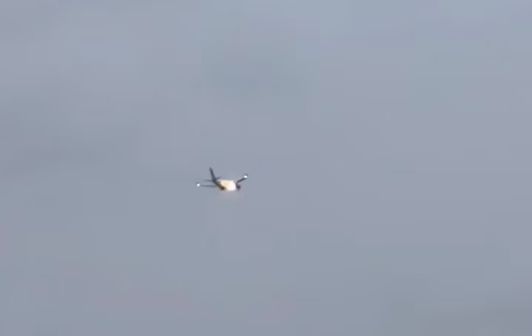 미국 현지시간으로 지난 13일 덴버 국제공항을 출발해 캐나다 에드먼턴 국제공항으로 향하던 유나이티드항공 보잉 737-800 여객기 엔진에 동물이 빨려 들어가 폭발하는 사고로 화재가 발생했다. 사상자는 나오지 않았다. abc뉴스 영상 캡처