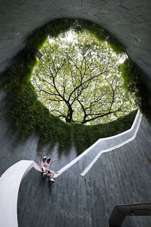 ‘인증샷 성지’로 떠오른 포트 캐닝 공원의 트리 터널.