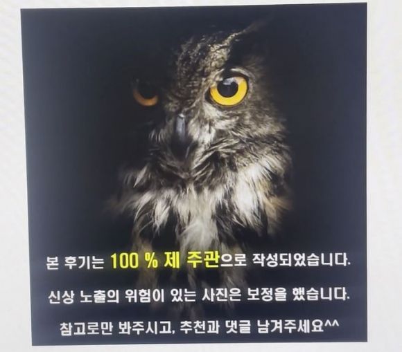 불법 성매매 사이트에 댓글과 움직이는 사진(GIF)으로 후기를 게시하고 10만~40만원 또는 무료 이용권을 받은 혐의로 닉네임 ‘검은 부엉이’ 홍보물. 경기남부경찰청