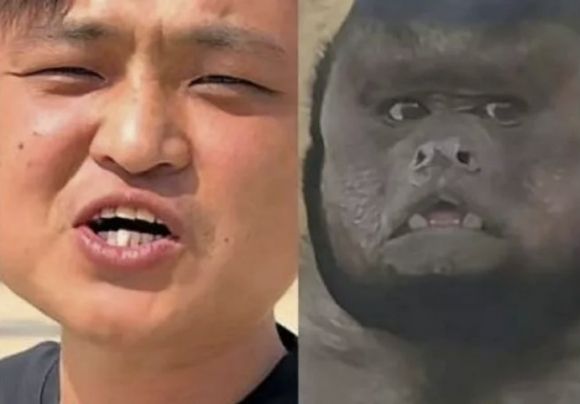 중국 안후이성 허페이의 한 동물원에서 살고 있는 원숭이 ‘따좡’(오른쪽)과 따좡을 닮은 틱톡 인플루언서 ‘거우왕’. ‘따좡’은 꼬리감는원숭이과의 일종인 ‘검은머리카푸친’으로, 네모난 얼굴에 검은 털 등 사람을 닮은 얼굴이 특징이다. 자료 : 따완신문·웨이보
