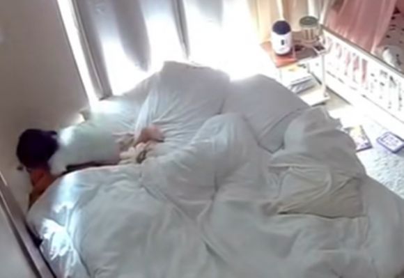 가져온 약을 아빠에게 먹이는 딸. 틱톡 캡처