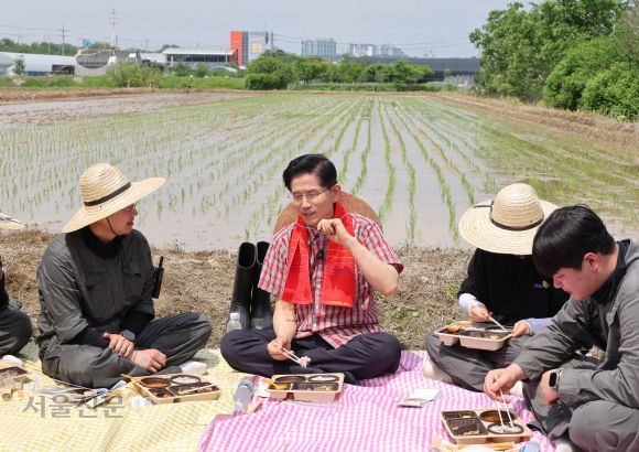 청년 농부들과 모내기 후 함께 도시락 - 김문수(왼쪽 두 번째) 국민의힘 대선 후보가 21일 경기 고양시 덕양구에서 열린 ‘고양시 청년농업인 모내기 및 새참간담회’에서 청년 농부들과 함께 도시락을 먹으며 대화하고 있다. 안주영 전문기자