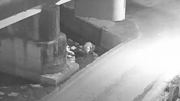 사고 발생 약 10분후 굴다리 아래 하천물을 퍼마시는 가해자 B씨의 모습