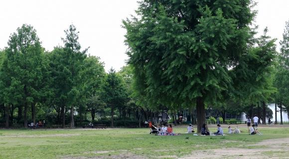 21일 서울 성동구 서울숲에서 시민들이 그늘을 찾아 휴식하고 있다. 사진은 기사 내용과 무관함. 2025.5.21 연합뉴스