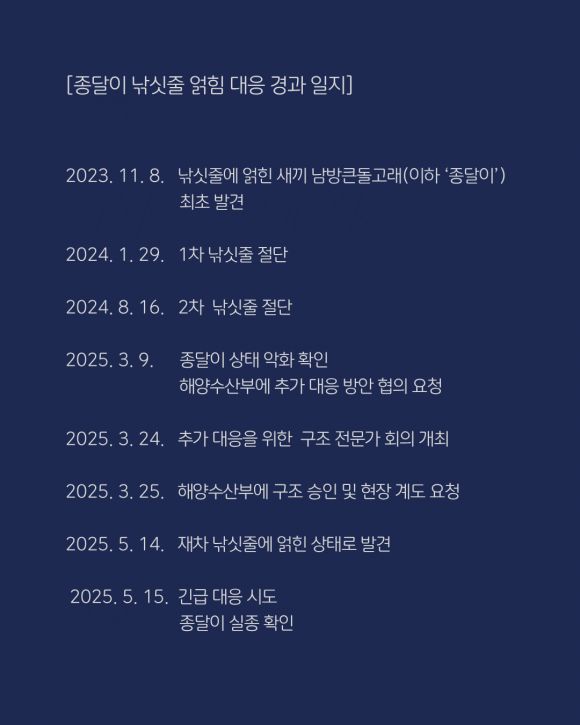 핫핑크돌핀스 제공