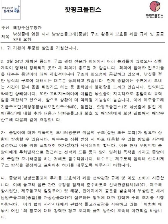 서울신문이 단독 입수한 핫핑크돌핀스가 해양수산부장관 앞으로 발송한 ‘낚싯줄에 얽힌 새끼 남방큰돌고래(종달) 구조 활동과 보호를 위한 규제 및 공공안내 요청’ 곰문의 내용. 핫핑크돌핀스 제공