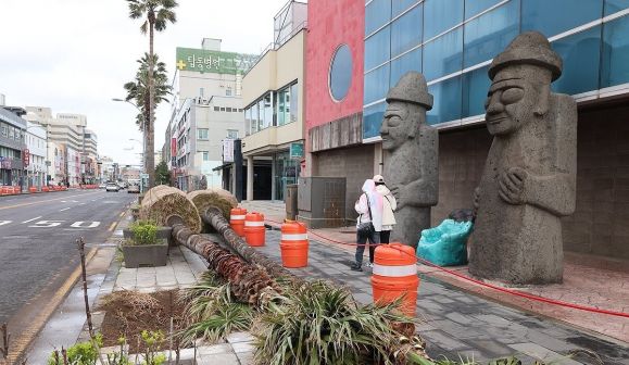 제주시가 지난 3월 28일 오전 제주시 탑동 거리에서 워싱턴야자수를 제거하는 작업을 진행했다. 연합뉴스