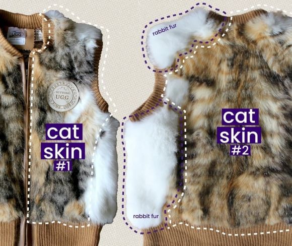 호주에서 ‘양털 조끼’라며 버젓이 판매된 제품이 알고 보니 고양이와 토끼 털로 만들어졌다는 사실이 밝혀져 충격을 주고 있다. 문제가 된 패션 브랜드 ‘서튼스 어그’(Suttons UGG)의 어린이용 조끼.  Collective Fashion Justice 인스타그램 캡처