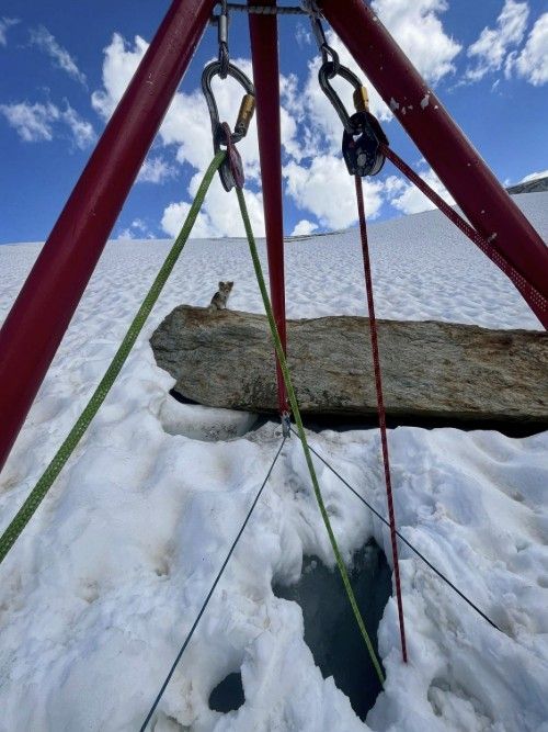 지난 6일(현지시간) 스위스 발레주 사스페 마을에 있는 페 빙하를 하이킹하다가 한 남성이 빙하 틈새에 빠진 가운데 그의 반려견이 사고 지점 인근 바위에 앉아 있는 모습. 에어체르마트 제공