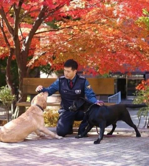 김민철 교관과 큐(오른쪽 검정 리트리버), 그리고 큐의 아내 포순이. 사진=김민철 경찰견종합훈련센터 양성교관