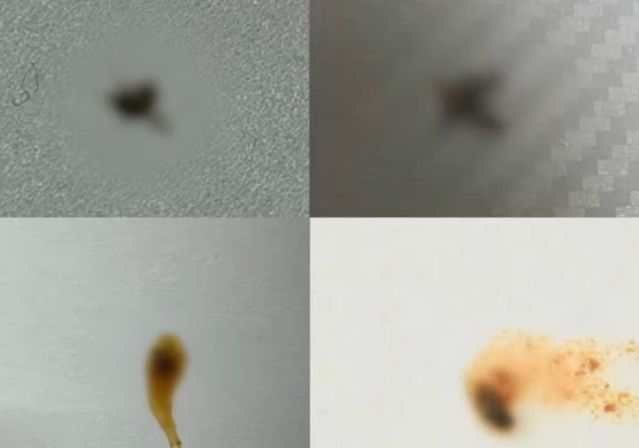 배달 음식에서 벌레가 나왔다고 속여 305차례에 걸쳐 770만원이 넘는 음식값을 환불 받은 20대 대학생이 실형을 선고 받았다. YTN 뉴스 캡처