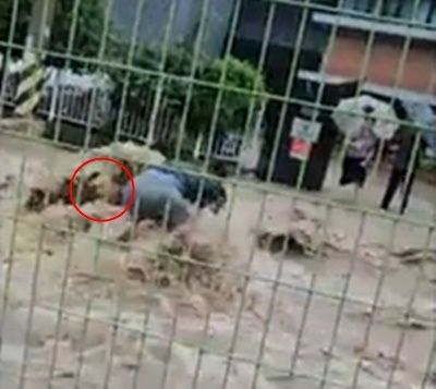 폭우가 덮친 광주에서 시민 최승일(54)씨가 물살 속에서 70대 노인을 구조한 사연이 전해졌다. 연합뉴스 영상 캡처