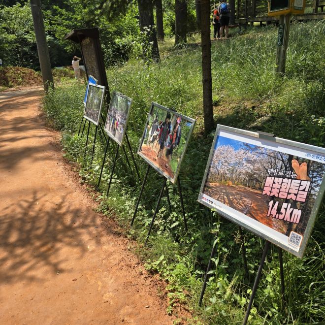 계족산 황톳길 중간중간에 작은 미술관과 체험장이 있다.