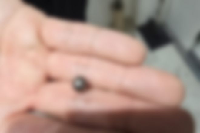 20일 인천 연수구 송도동에서 60대 남성이 사제 총기로 아들을 쏴 살해하는 사건이 발생했다. 사진은 범행 당시 사용했던 산탄 안에 들어있던 쇠구슬. 인천 연수경찰서 제공