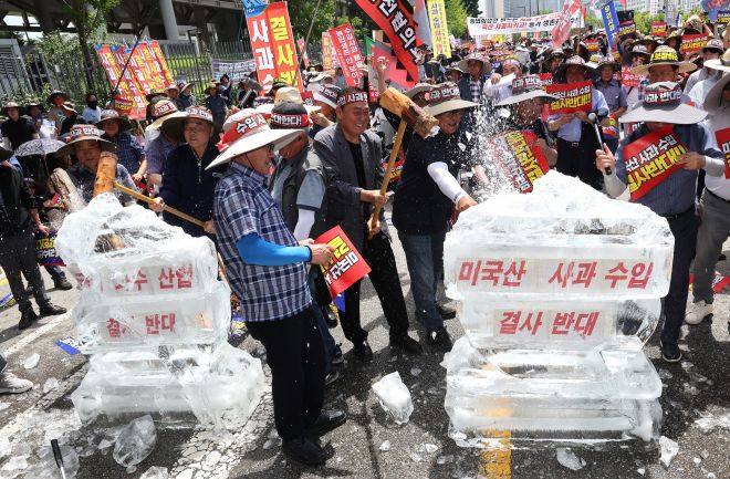‘미국산 사과 수입 결사 반대’ 얼음 깨기 - 한국사과연합회, 한국과수농협연합회 등 소속 농민들이 31일 정부세종청사 산업통상자원부 앞에서 열린 ‘미국산 사과 수입 반대 국민대회’에서 미국산 사과 수입을 결사 반대한다는 얼음 깨기 퍼포먼스를 펼치고 있다. 2025.7.31. 연합뉴스