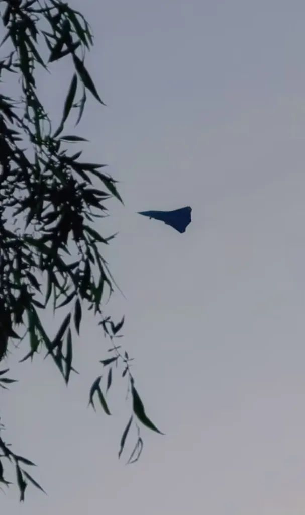 중국 온라인에 올라온 스텔스 항공기 실루엣. 나뭇잎 너머로 포착된 기체는 삼각형 형태의 날개 구조를 갖추고 있으며 유인기보다는 드론에 가까운 형상이라는 분석이 나온다. 출처=워존·엑스