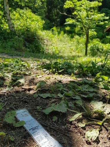 등산객 살인 현장. 이씨는 일기장에 “이미 시작한 거 끝을 봐야지”라고 썼다. 연합뉴스