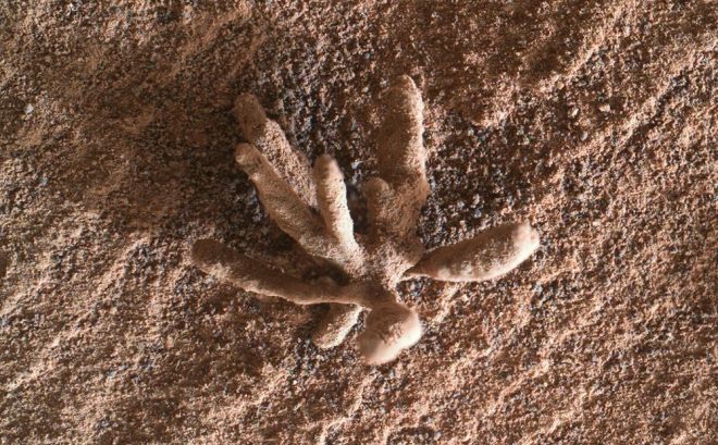 큐리오시티가 화성 표면에서 촬영한 선인장처럼 생긴 암석.  NASA/JPL-Caltech/MSSS