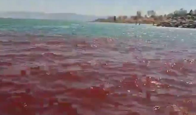 이스라엘 북부에 위치한 성경 속 갈릴리 호수가 최근 붉게 물들어 현지 주민과 관광객들 사이에서 “종말의 징조”라며 공포가 확산하고 있다. 이스라엘 자연 및 공원 관리청