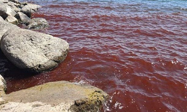 이스라엘 북부에 위치한 성경 속 갈릴리 호수가 최근 붉게 물들어 현지 주민과 관광객들 사이에서 “종말의 징조”라며 공포가 확산하고 있다. 이스라엘 자연 및 공원 관리청