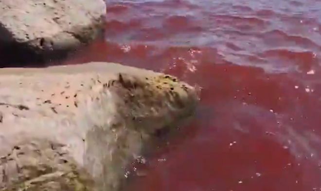 이스라엘 북부에 위치한 성경 속 갈릴리 호수가 최근 붉게 물들어 현지 주민과 관광객들 사이에서 “종말의 징조”라며 공포가 확산하고 있다. 이스라엘 자연 및 공원 관리청