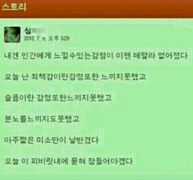 심군이 범행 직후 자신의 SNS에 올린 글 (온라인 커뮤니티)