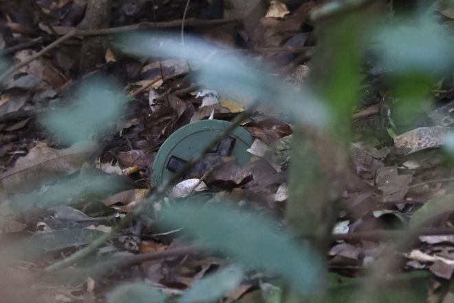 아세안 군사 대표 등이 포함된 임시 감시단이 8월 20일 태국 수린주 파놈동락 지구에서 캄보디아군이 매설한 것으로 추정되는 PMN-2 대인지뢰를 확인하고 있다. 태국 육군은 국경 충돌 이후 현장을 공개하며 국제 사회 참관을 요청했다. EPA 연합뉴스