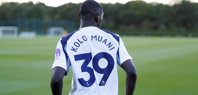 2일(한국시간) 토트넘 유니폼을 입은 랑당 콜로 무아니. 토트넘 홈페이지