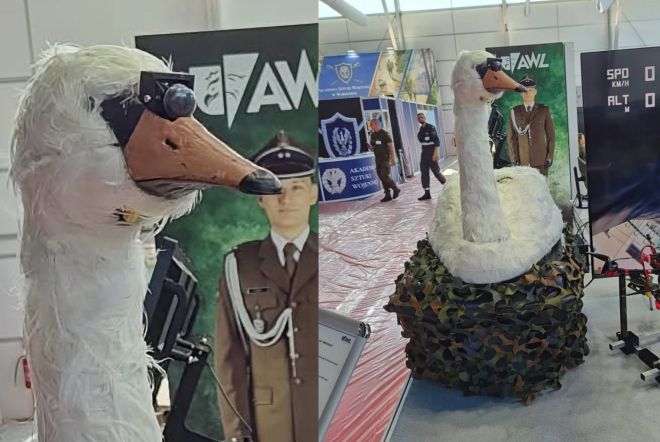 폴란드 육군 군사연구소가 개발한 백조 모습의 수륙양용 드론. 소셜미디어 캡처