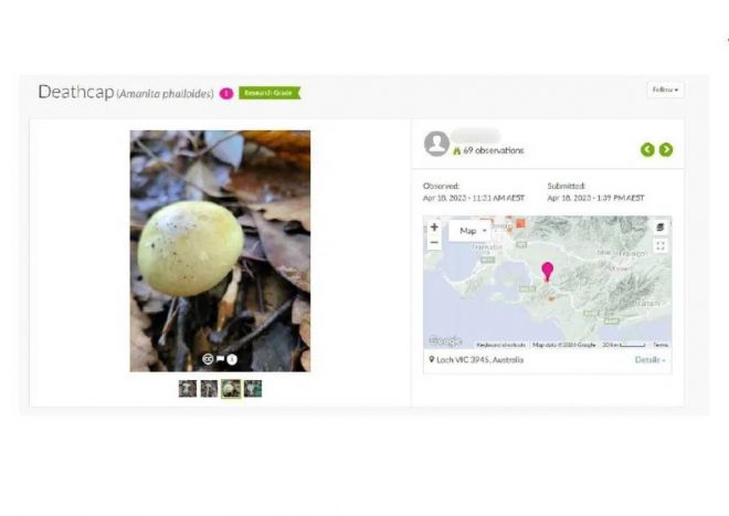 독버섯 공유 사이트에 올라온 알광대버섯의 발견 위치. 빅토리아 대법원