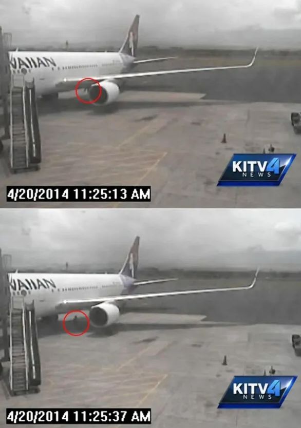 2014년 미국 캘리포니아 산호세발 하와이안 항공기 바퀴에 매달려 하와이까지 총 5시간 넘게 비행한 15세 소년 야히아 압디가 스스로 바퀴 랜딩기어 격납고에서 걸어나오는 모습. 공항 CCTV 캡처